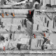 Commercial Construction